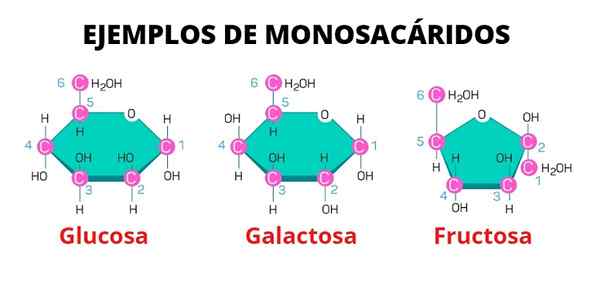 Monossacarídeos