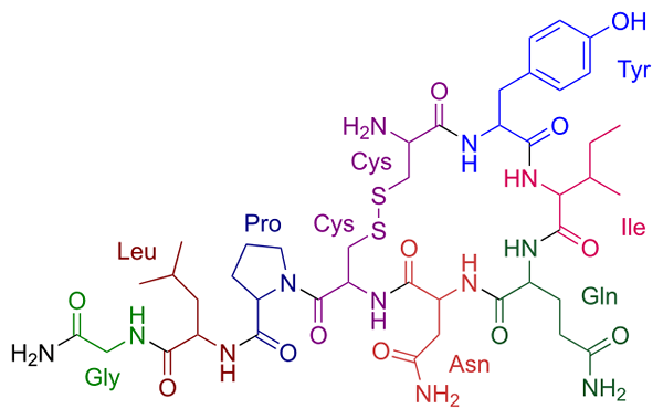 Oxytocín