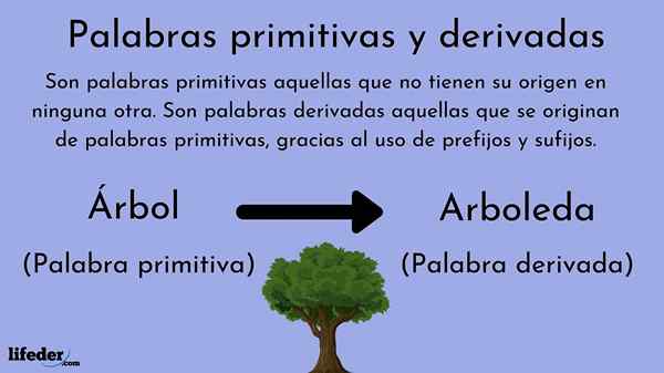 Parole primitive e derivate