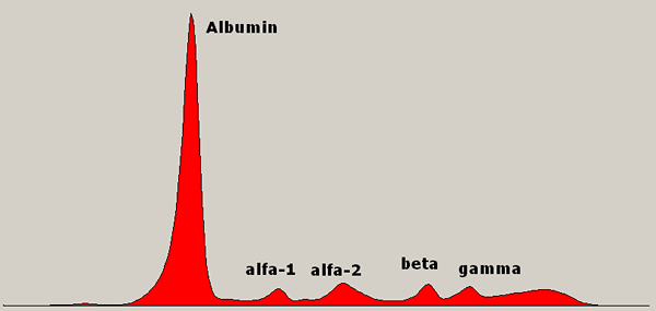 Proteinogram