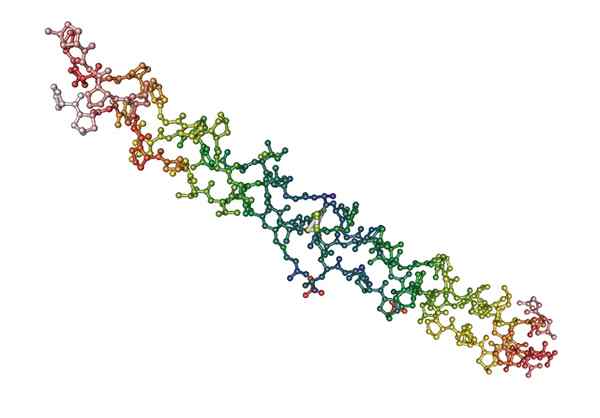 Faserproteine