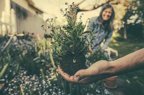 Ecologische takken