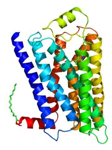 Adrenergné receptory