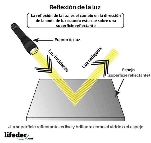 Ljusreflektion