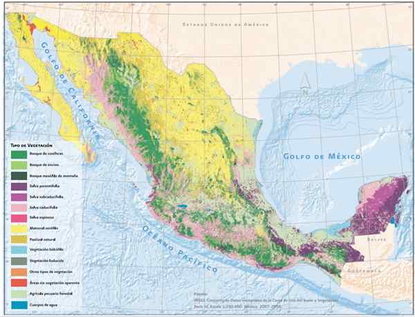 Régions naturelles du Mexique