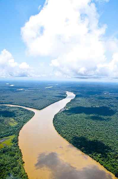 Sejarah Sungai Atrato, Ciri -ciri, Laluan, Anak sungai, Flora, Fauna