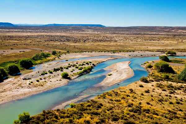 Chubut River -egenskaper, rute, sideelver, flora, fauna