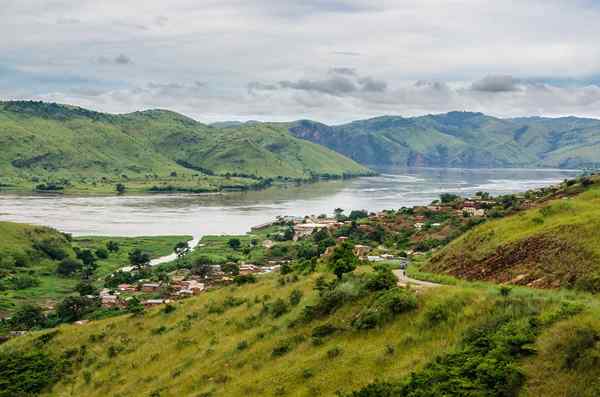 Sejarah Sungai Congo, Ciri -ciri, Laluan, Anak sungai, Flora, Fauna