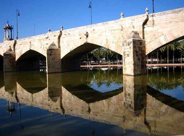 Río Turia historie, egenskaper, rute, sideelver, flora