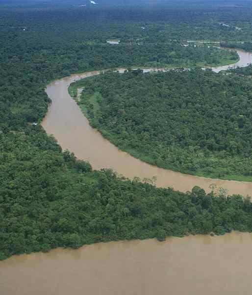 Sungai dari kawasan Colombia yang damai dan ciri -cirinya