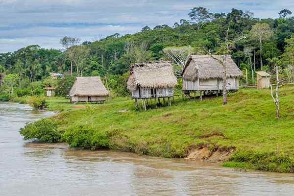 Hutan Peru