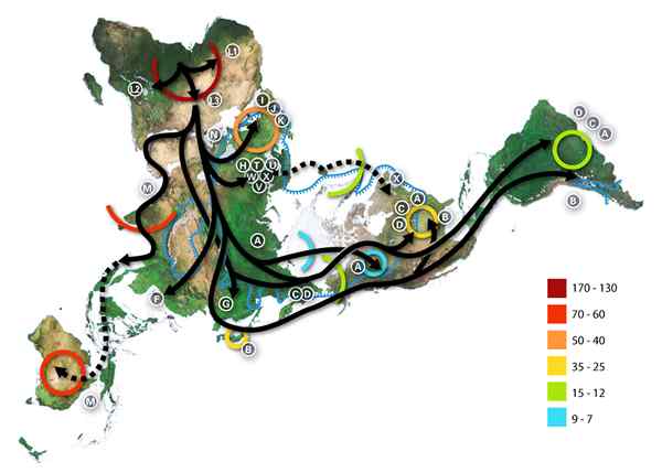 Teoria da origem africana