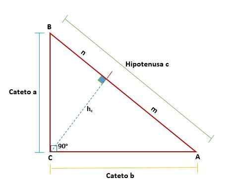 Teorem Euclid