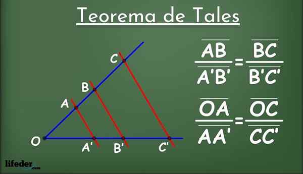 Miletus wie Theorem