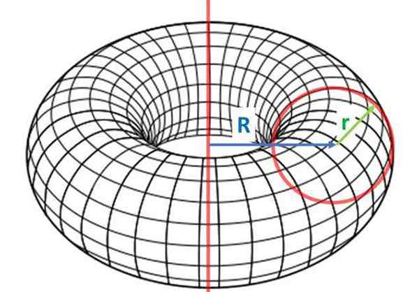 Toroid ali Toro Dona