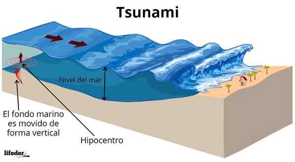 Tsunami