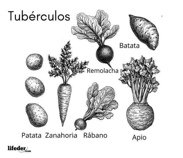 Tubercules