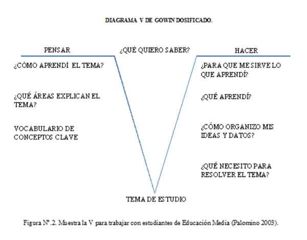 V de Gowin