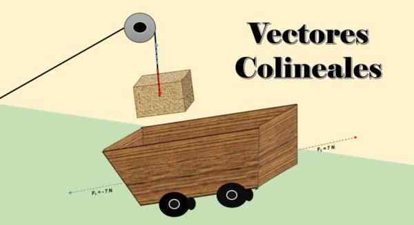 Vecteurs colinéaires