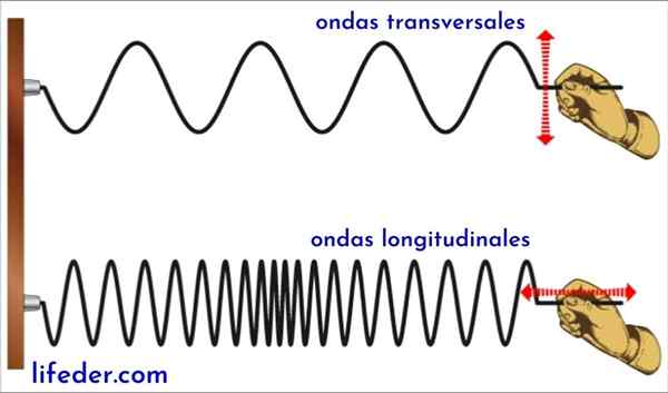 Vitesse de propagation d'une vague