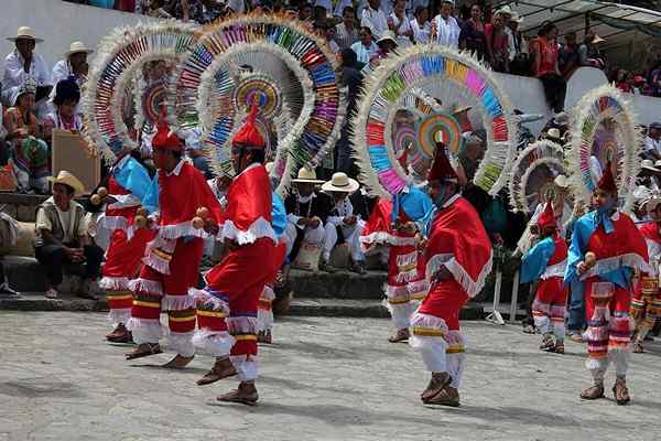 5 Traditionele dansen en dansen van Puebla