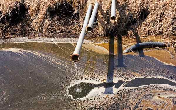 Attività di settori primarie, secondarie e terziarie sull'ambiente