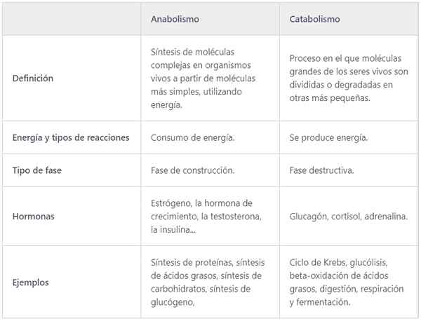 Anabolisme en katabolisme