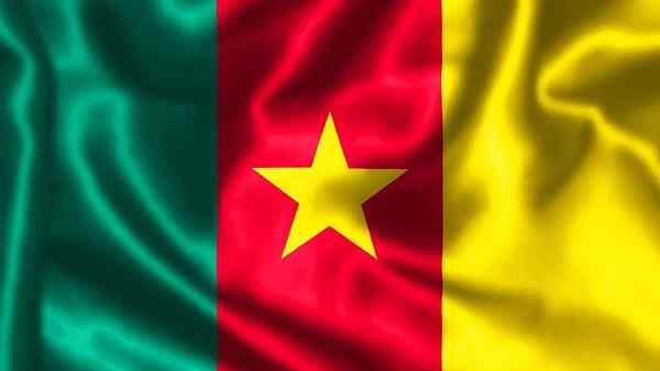 Bendera Cameroon