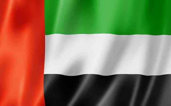 Bandiera Emirates Arabi Uniti