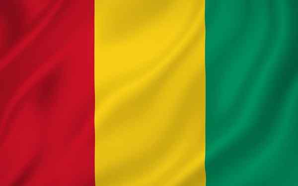 Gvinejska zastava
