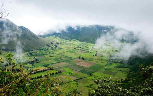 Biomes de l'Équateur