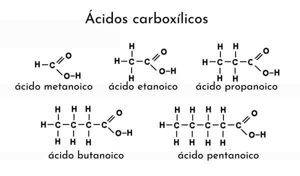 Carboxylsäure