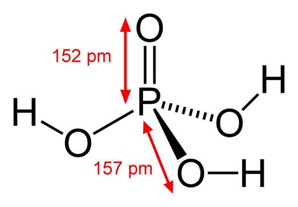 Fosforsyra (H3PO4)