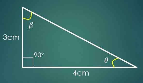 Cara mendapatkan sudut segitiga? (Contoh)