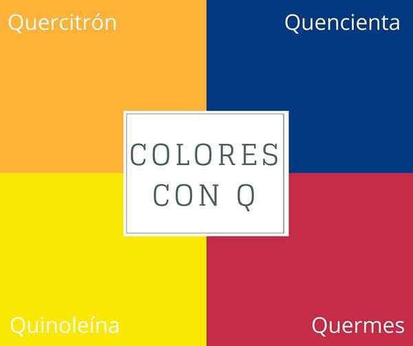 Colori con Q