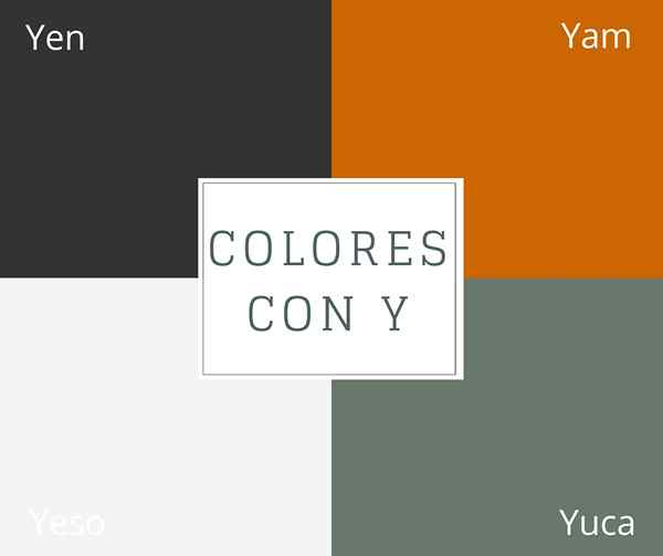 Colori con y