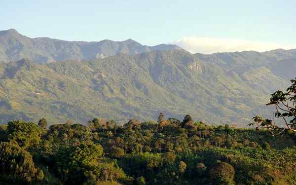 Cordillera de Colombia tengah