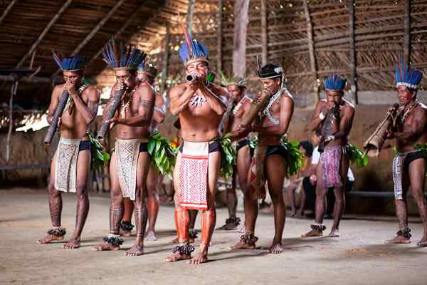 Culture de la région amazonienne danse, traditions, artisanat