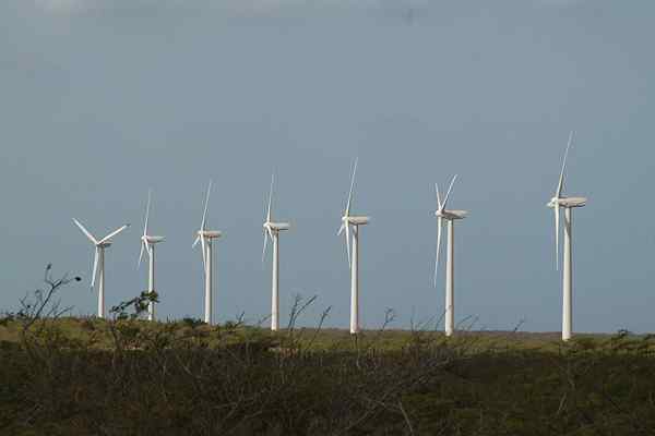 Energia wiatru w cechach Wenezueli i farmach wiatrowych