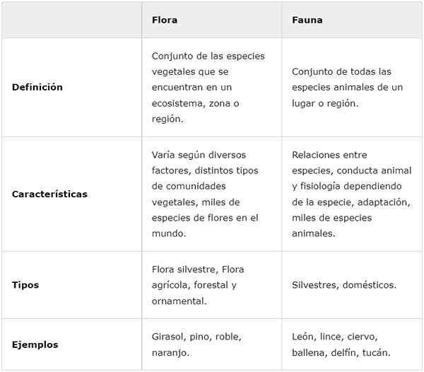 Flora i fauna