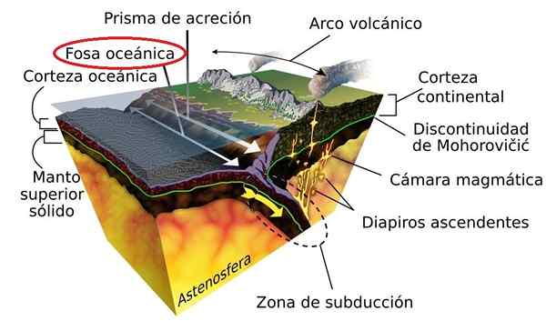 Oceánske jamy