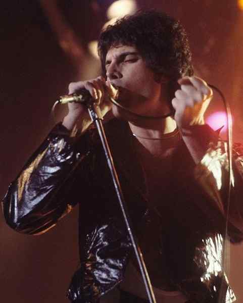 Freddie Mercury Frase