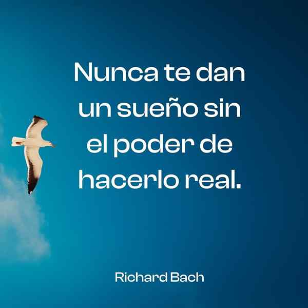 Frasa Richard Bach