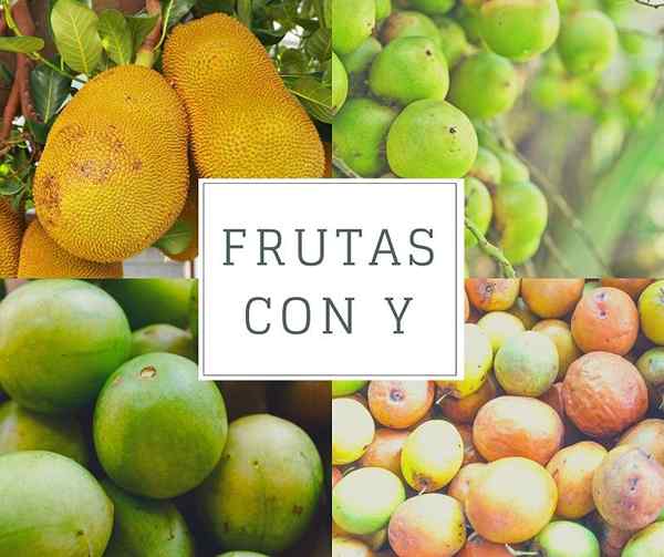 Frutas com a letra e