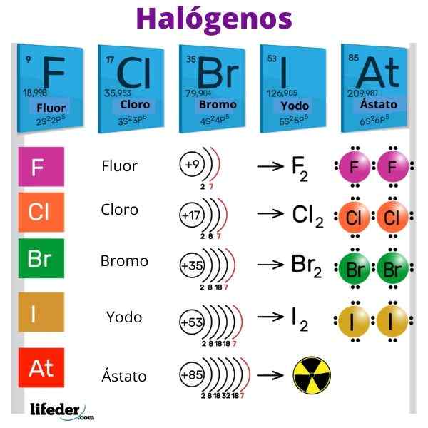 Halogeni