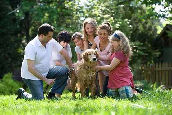 De 11 belangrijkste familiefuncties