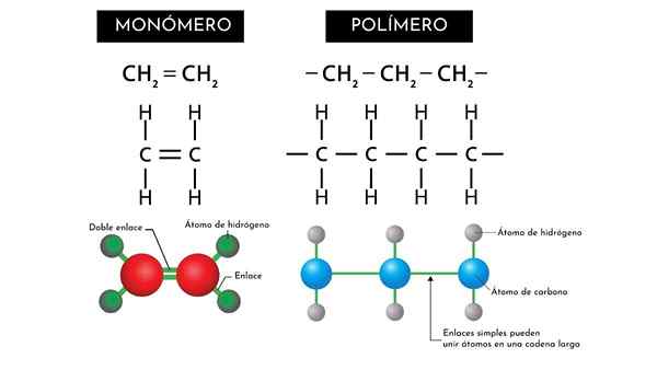 Monomère