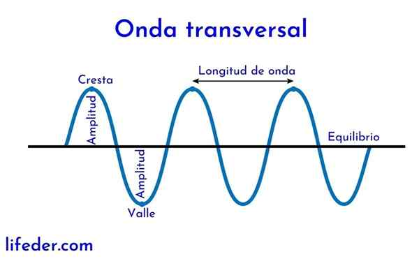 Onda transversal