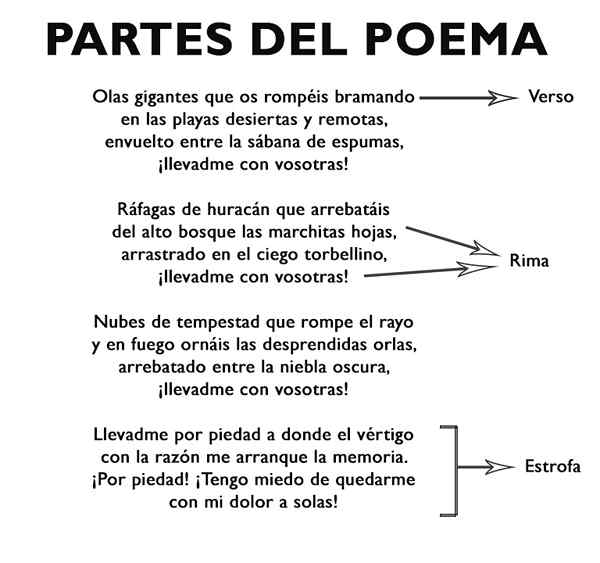 Parti di una poesia (struttura)