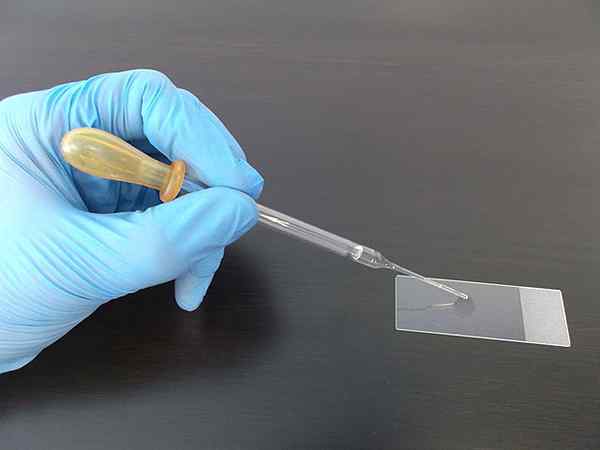 Pasteur Pipette